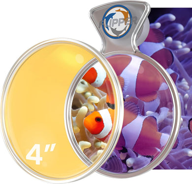 DeepSee Viewer Clear 4