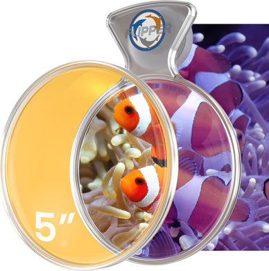 DeepSee Viewer Clear Max 5