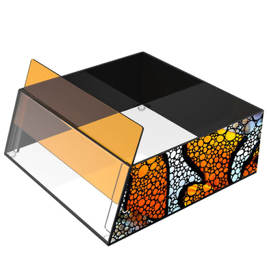 Top Down Viewer Clownfish - 8