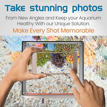 Top Down Viewer Clownfish - 8" panel