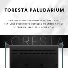 Ultum Nature Systems Foresta Integrated Paludarium Tank - All in One Aquarium w/Waterfall, Mist Maker, Water Pump, Modern Fish Tank w/Filtration for Aquatic Plants - 13.78" x 13.78" x 17.72" - 35E