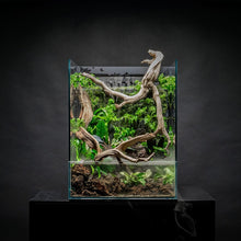 Ultum Nature Systems Foresta Integrated Paludarium Tank - All in One Aquarium w/Waterfall, Mist Maker, Water Pump, Modern Fish Tank w/Filtration for Aquatic Plants - 23.62" x 14.17" x 17.72" - 60E