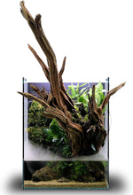 Ultum Nature Systems Foresta Integrated Paludarium Tank - All in One Aquarium w/Waterfall, Mist Maker, Water Pump, Modern Fish Tank w/Filtration for Aquatic Plants - 13.78" x 13.78" x 17.72" - 35E